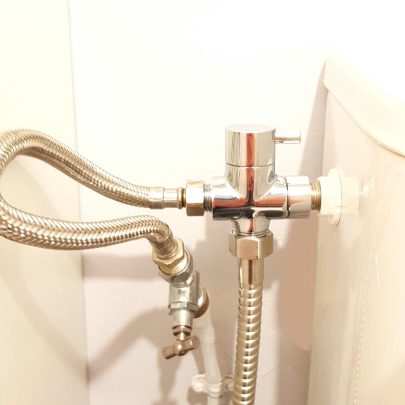 20190728_032006bis 20190728_032006bis