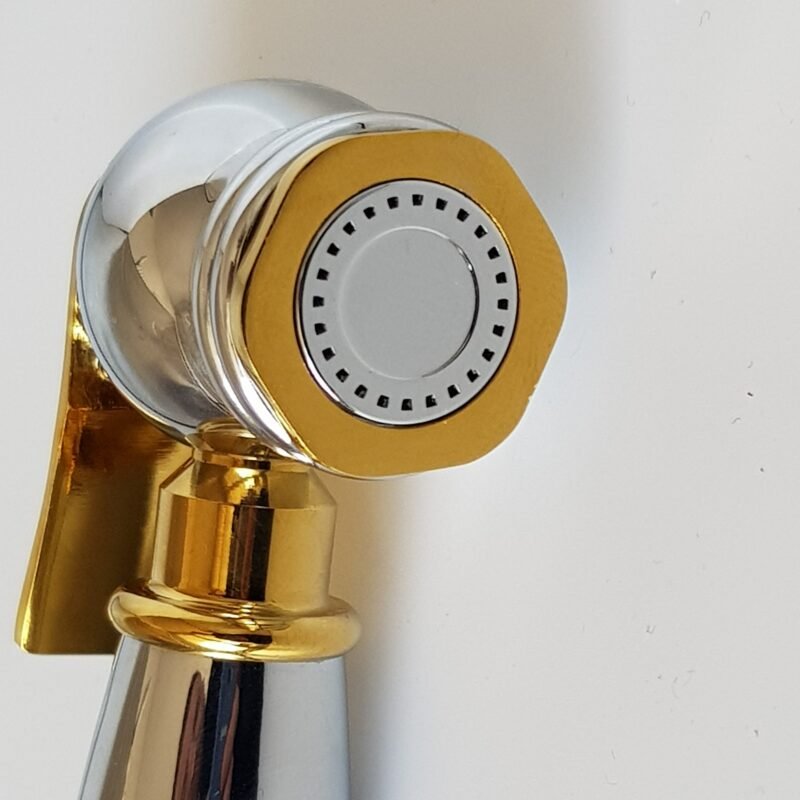 20200322_161439 rogné bis 20200322_161439 rogné bis