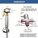 dimensions luxury gold 05.03.2020 amelioré